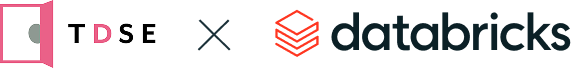 TDSE x databricks